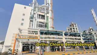 パラクロロベンズアルデヒド-常州新東化学工業開発有限公司